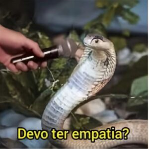Dar Pitaco/Falar Mal da Festa