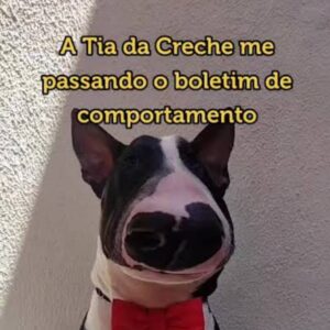 3 Meses de Creche para o Jake