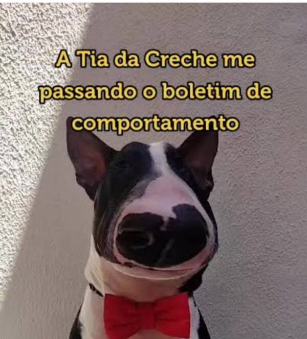3 Meses de Creche para o Jake
